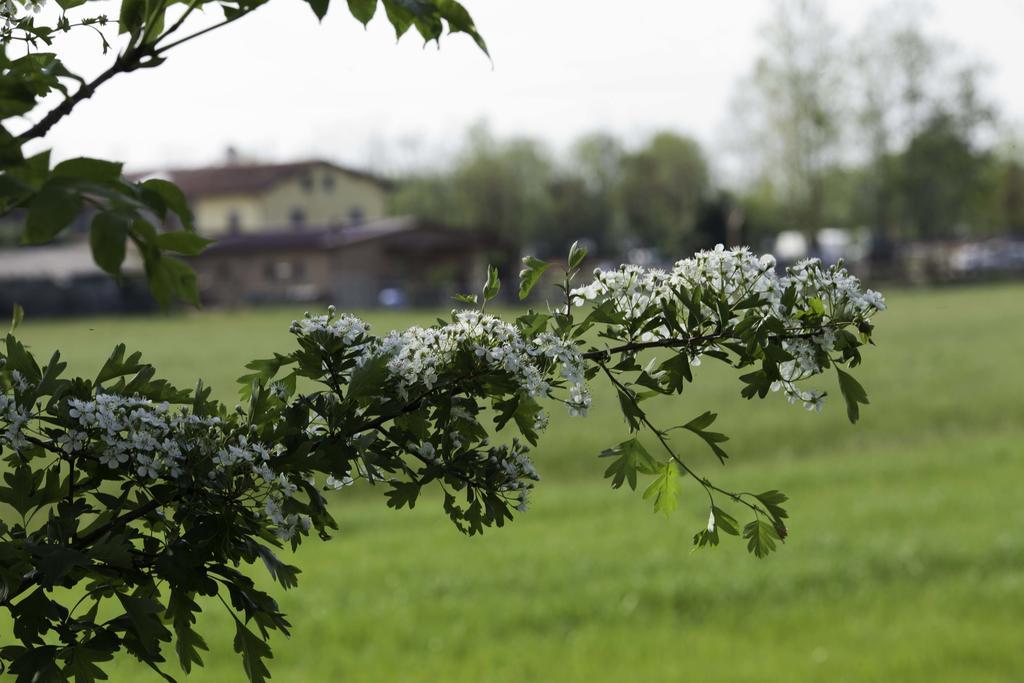 Agriturismo I Due Merli Hotel Zanica Exterior photo